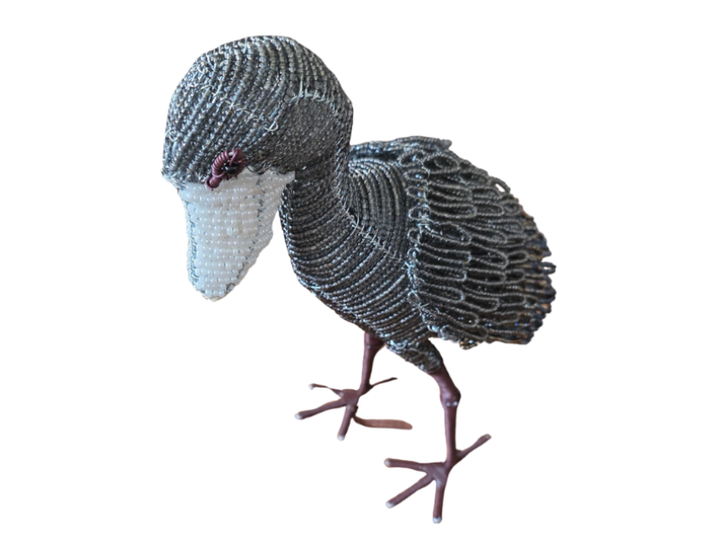 Shoebill Stork Top